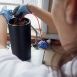 Biorreatores de bancada (https://www.embrapa.br/busca-de-noticias/-/noticia/39912326/cientistas-criam-sistema-de-biorreatores-de-bancada-para-testes-com-compostagem)